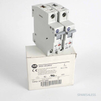 Allen Bradley Leistungsschalter 1492-SP1C100 Ser.C (2Stk.) OVP