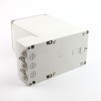 MSA Auer Ex-Tox-Alarm 290 WG290 D0742707 GEB