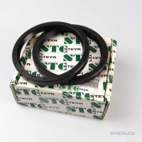 STC Steyr Dichtung 2 Stk. 4xWA100x120x12 / SCY 100x120x12 OVP