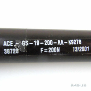 ACE Industrie-Gasfeder GS-19-200-AA-K9276 NOV