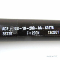 ACE Industrie-Gasfeder GS-19-200-AA-K9276 NOV
