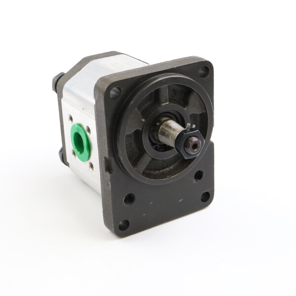 Pedro Roquet Zahnradpumpe 1L16DJ23F 1141K NOV