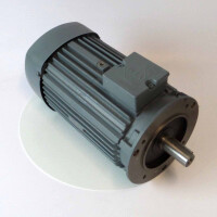 VEM Drehstrommotor IE2-WE1R 100LX4 3,0kW NOV