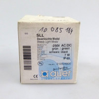 Auer Dauerleuchte SLL-250VAC/DC 210506900 grün/schwarz OVP