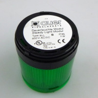 Auer Dauerleuchte SLL-250VAC/DC 210506900 grün/schwarz OVP