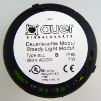 Auer Dauerleuchte SLL-250VAC/DC 210507900 gelb/schwarz OVP
