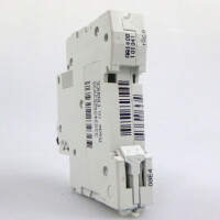 Schneider Electric Leistungsschutzschalter Multi 9 C60L C2A 25393 NOV