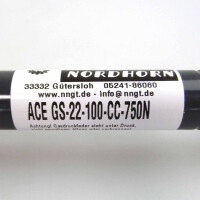 ACE/Nölle+Nordhorn Gasdruckfeder GS-22-100-CC-750N NOV
