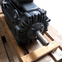 Siemens SIMOTICS XP NSP-Motor 1MD5165-1BD60-4AA1-Z NOV