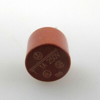 Siemens Sicherung 6ES7 193-0DC00-0XA0 TR5-T 1.0A/250V (10Stk.) OVP