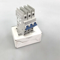 Allen Bradley Leitungsschutzschalter 1489-M3D060 Ser.D OVP