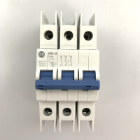 Allen Bradley Leitungsschutzschalter 1489-M3D060 Ser.D OVP