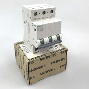Siemens Leitungsschutzschalter 5SL4 316-8 OVP