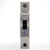 Siemens Leitungsschutzschalter 5SX5110-6 OVP