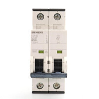 Siemens Leitungsschutzschalter 5SY6550-6 OVP
