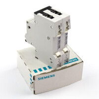 Siemens Leitungsschutzschalter 5SY6550-7 OVP