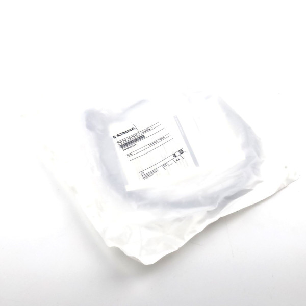 SCHMERSAL Sicherheits-Sensor BNS 260-02/01ZG-R 101184374 OVP