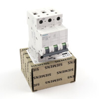 Siemens Leitungsschutzschalter 5SL6310-6 OVP