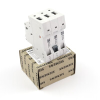 Siemens Leitungsschutzschalter 5SL6310-6 OVP