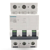 Siemens Leitungsschutzschalter 5SL4316-6 NOV
