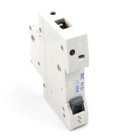 Siemens Leitungsschutzschalter 5SL4106-6 NOV