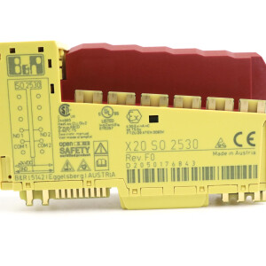 B&R X20 Digitalausgangsmodul X20SO2530 Rev.F0 OVP