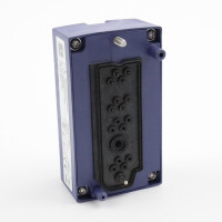 Bihl+Wiedemann ASi Digitaleingangsmodul BWU2552 GEB
