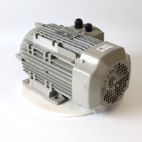 MOLL-MOTOR Drehstrommotor Y3PE-100L2B3 GEB
