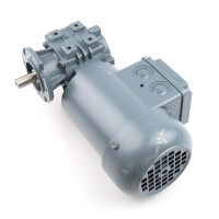 Bauer Schneckengetriebemotor BS02-38H/D04LC6 i=70 NOV
