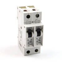 Siemens Leitungsschutzschalter 5SX2106-8 (2Stk.) GEB