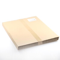RITTAL CP Frontplatte CP6028.014 OVP