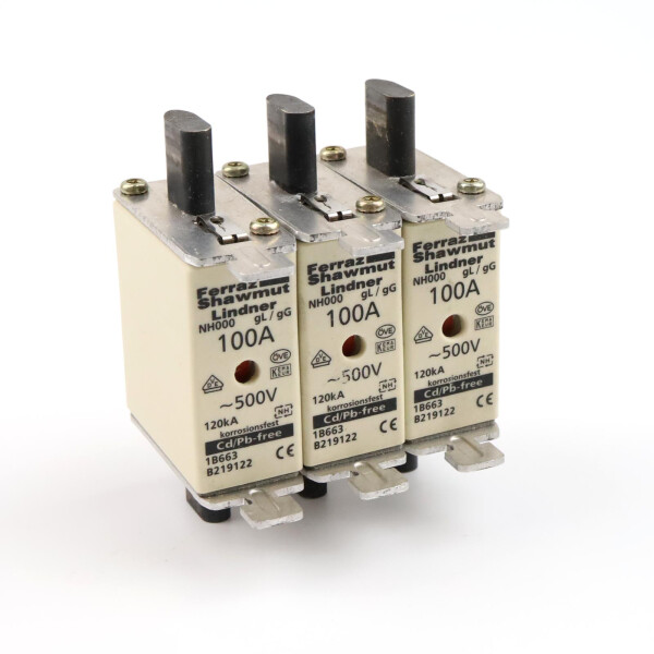 Ferraz-Shawmut Sicherungseinsatz 1B663 B219122 100A 500V (3Stk.) GEB