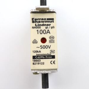 Ferraz-Shawmut Sicherungseinsatz 1B663 B219122 100A 500V (3Stk.) GEB