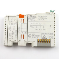 WAGO 2-Kanal-Analogeingang 750-461 GEB