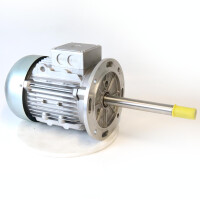 Bronzoni Drehstrommotor 01003B-112 NOV