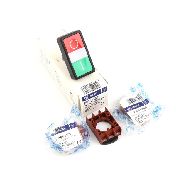 General Electric CEMA Drucktaste P9DPLVRG01 186891 OVP