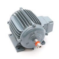 HEW Drehstrommotor RDM90L/12 230/400V NOV