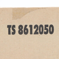 RITTAL System-Chassis TS 8612050 OVP