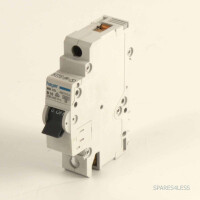 hager Leitungsschutzschalter MC 110 B10 GEB