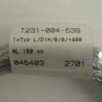 SAB Bröckskes Thermoelement T231-004-539 045403 NOV