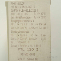 Endress+Hauser Nivotester FTL120Z 917602-0001 GEB